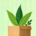 Eco-friendly packaging solutions icon